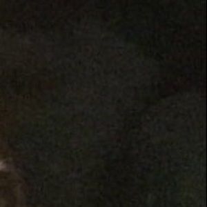 Meet your Posher, Molly